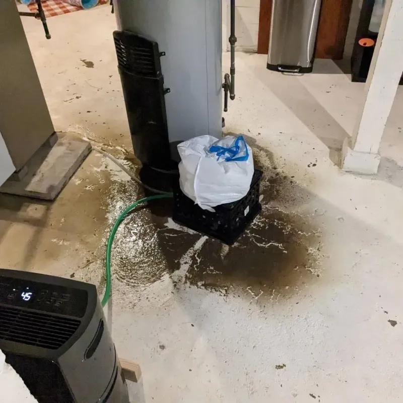 Sewage Backup Cleanup Service in Wheeler County, OR
